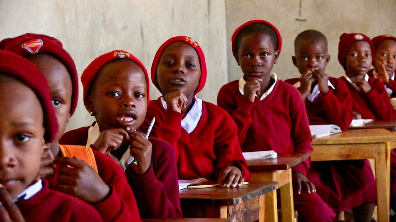 Foi learners small