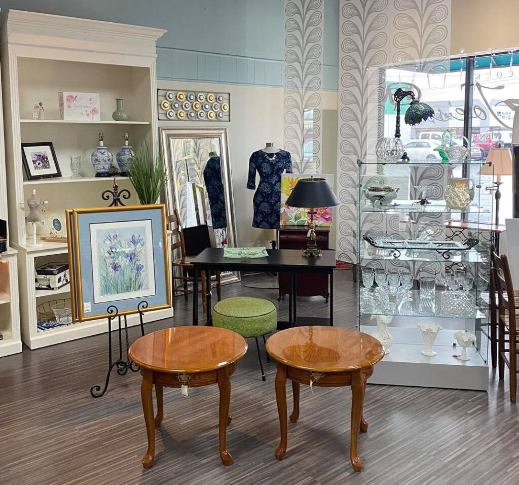 The Sassy Peacock home decor